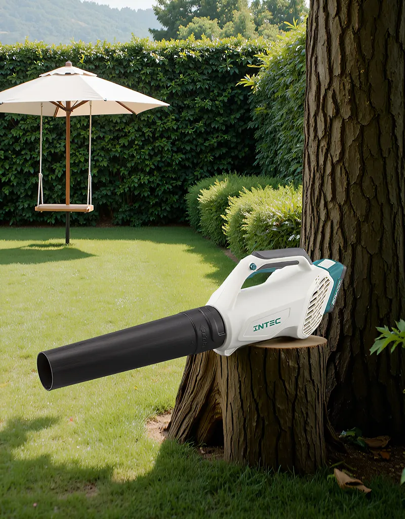 Cordless blower